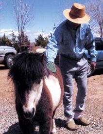Feature: Miniature horse and entrepreneur are just right for each other Image